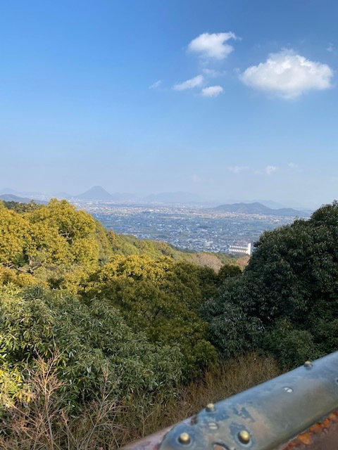 IMG 7053