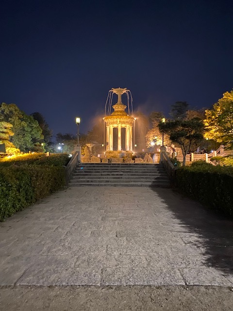 IMG 7556