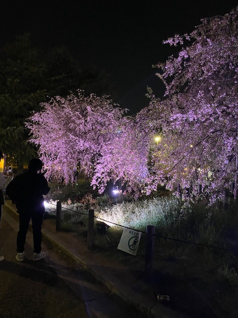 IMG 7560